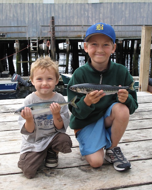 Top Gunners on mackerel